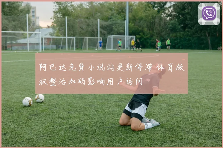 阿巴达免费小说站更新停滞 体育版权整治加码影响用户访问