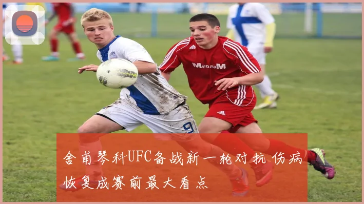 舍甫琴科UFC备战新一轮对抗 伤病恢复成赛前最大看点