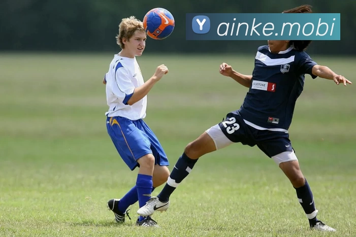 App Interface Preview